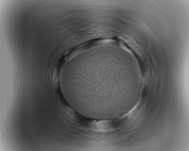 X0000093730186200710161123