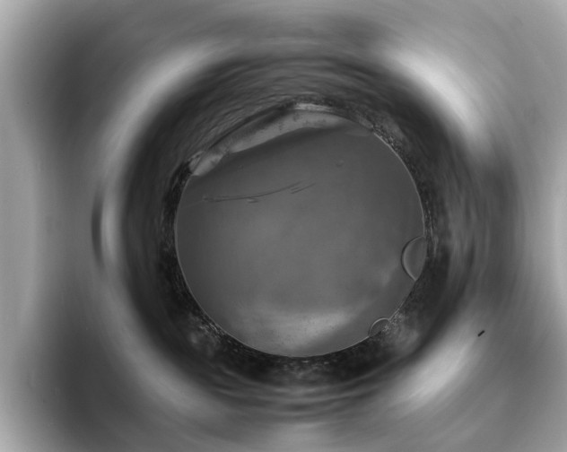 X0000093730189200710161123