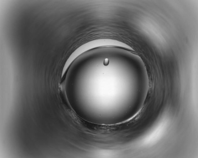 X0000093730190200710161124