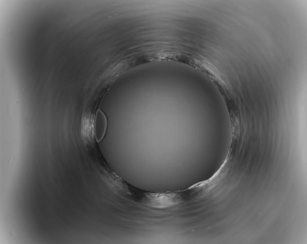 X0000093730191200710161124