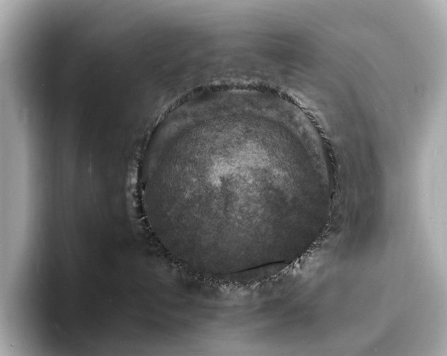 X0000093730192200710161124