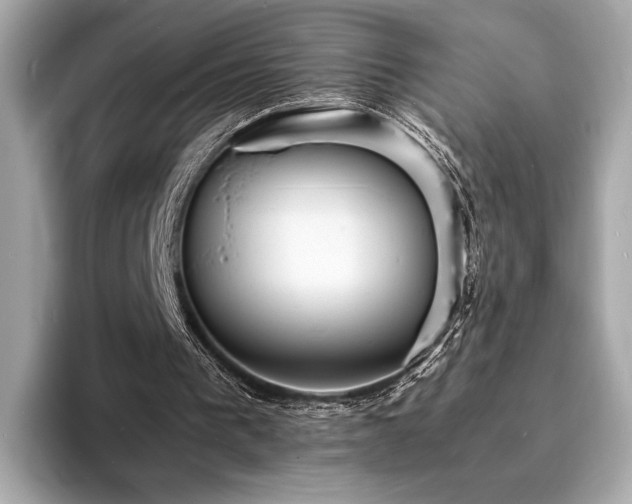 X0000093730193200710161123