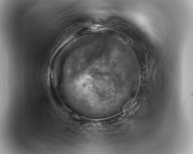X0000093730194200710161123