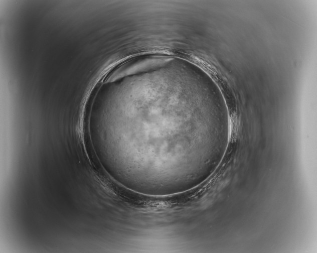 X0000093730195200710161123