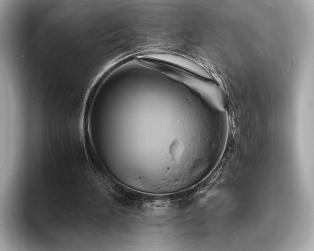 X0000093730196200710161123