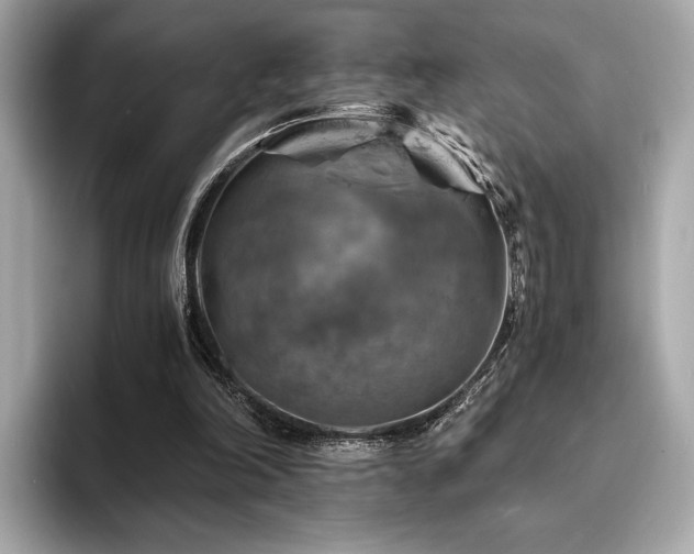 X0000093730198200710161123