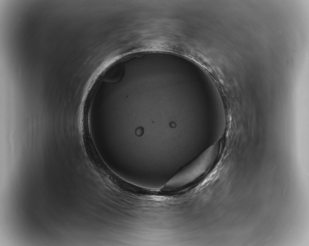 X0000093730200200710161123