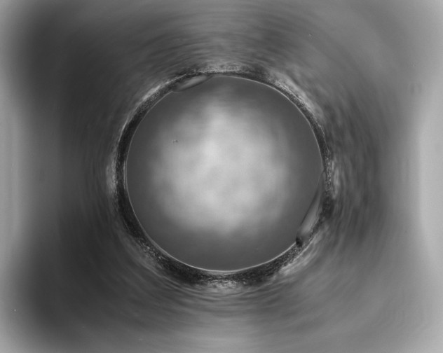 X0000093730203200710161123