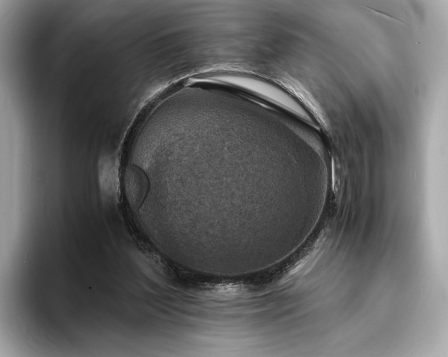 X0000093730204200710161123