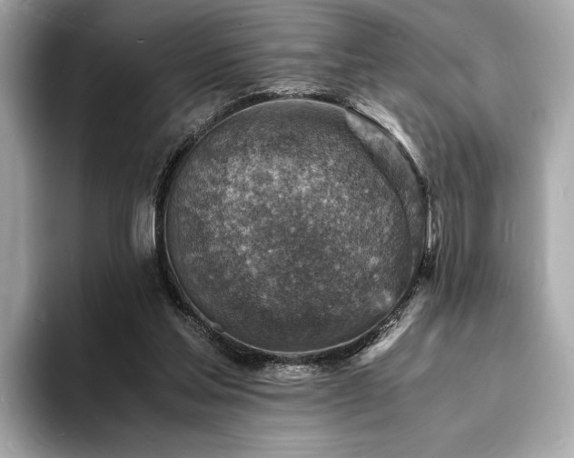 X0000093730205200710161123