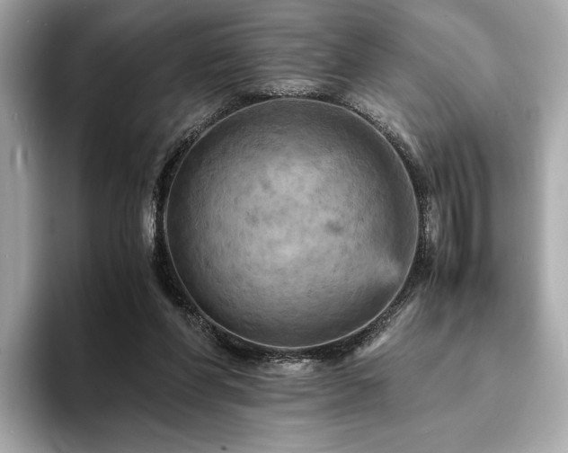 X0000093730206200710161123