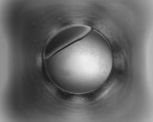 X0000093730207200710161123