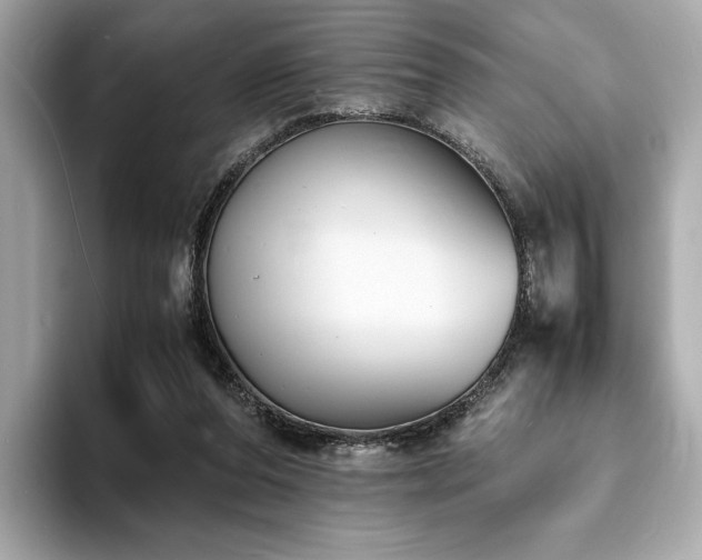 X0000093730208200710161123
