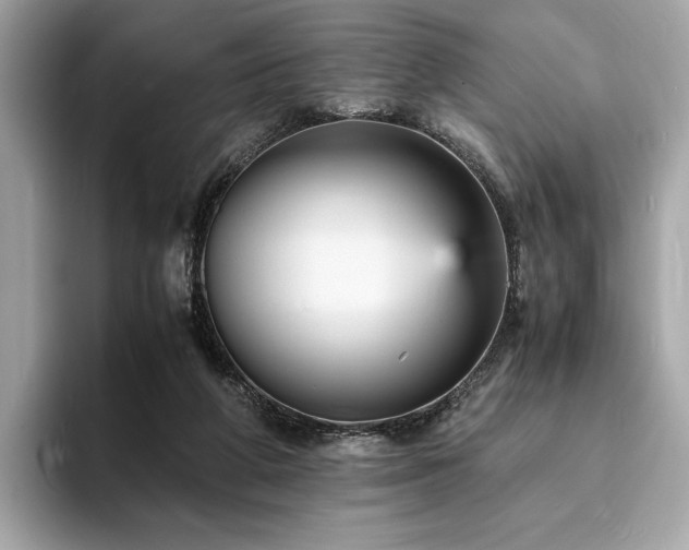 X0000093730210200710161123