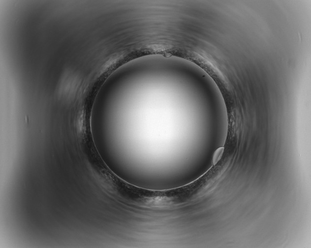 X0000093730212200710161123