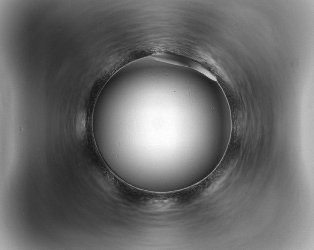 X0000093730213200710161123