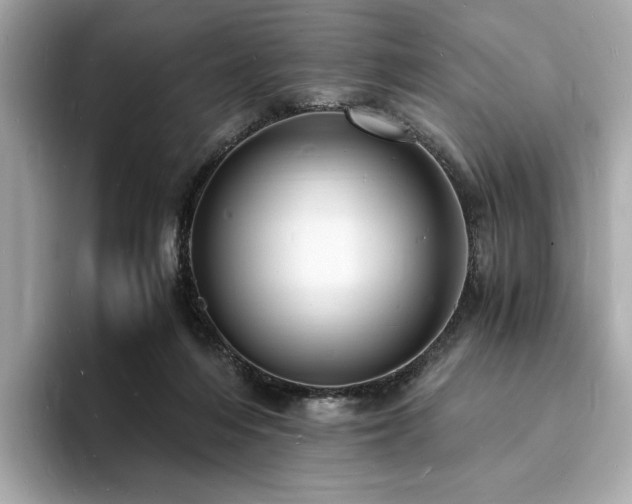 X0000093730216200710161123