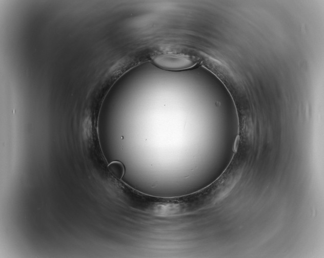 X0000093730220200710161122