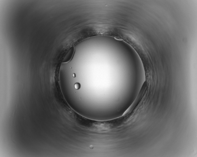 X0000093730221200710161122