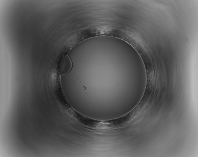 X0000093730222200710161122