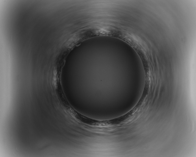 X0000093730223200710161122