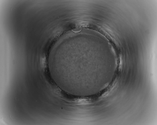 X0000093730224200710161122