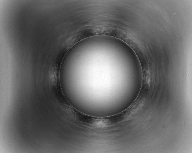 X0000093730226200710161122