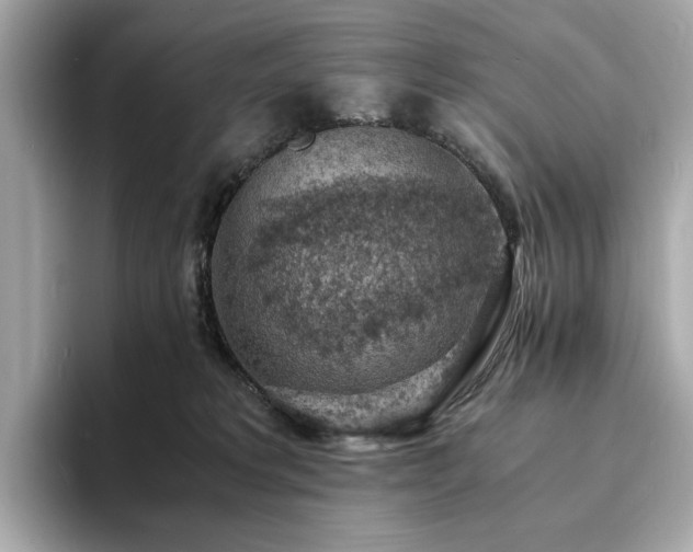 X0000093730229200710161122