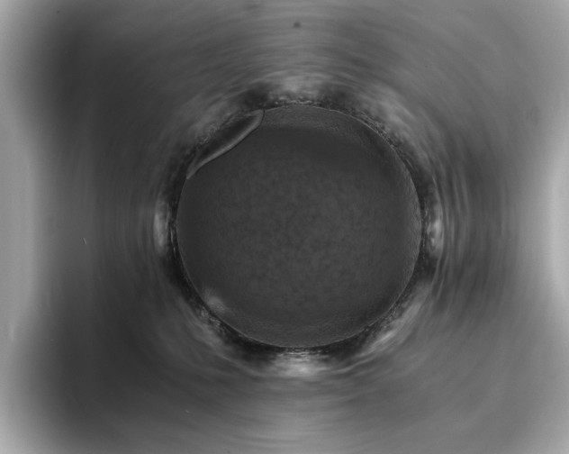X0000093730231200710161122