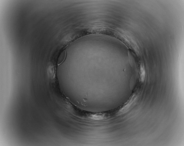 X0000093730232200710161122