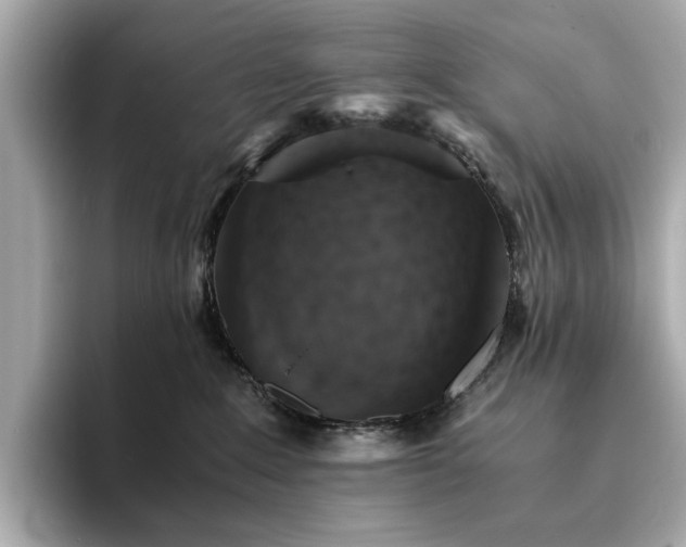 X0000093730235200710161122