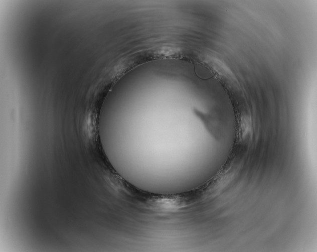X0000093730236200710161122