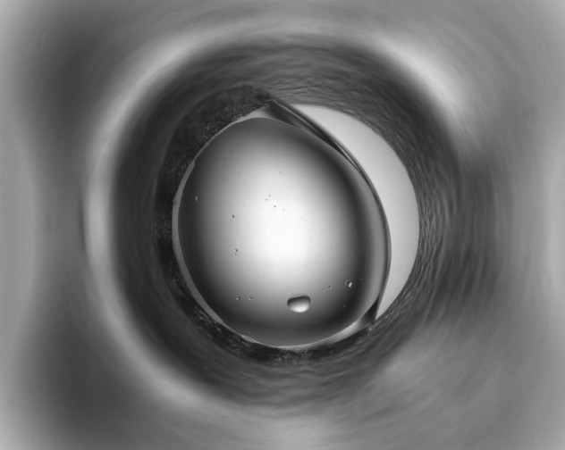 X0000093730239200710161122