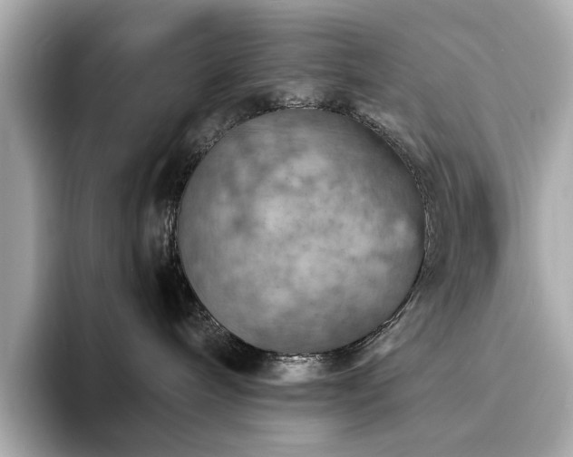 X0000093730240200710161122