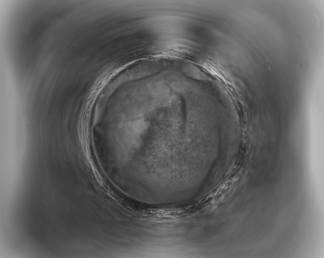 X0000093730241200710161122