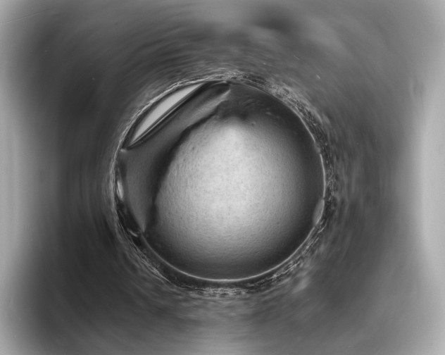 X0000093730242200710161122