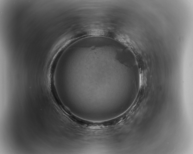 X0000093730243200710161122