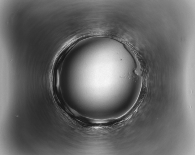 X0000093730244200710161122