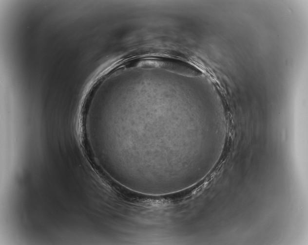X0000093730245200710161122