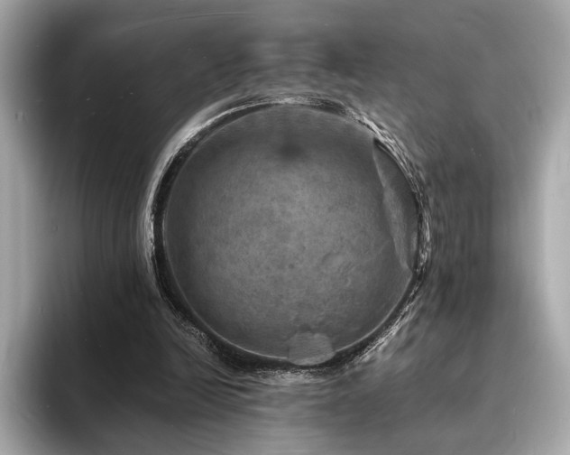 X0000093730246200710161122