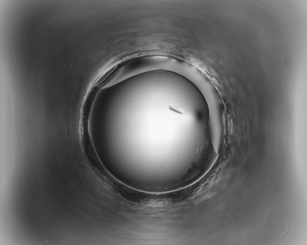 X0000093730248200710161122