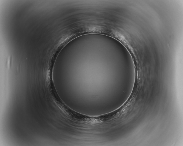 X0000093730249200710161122