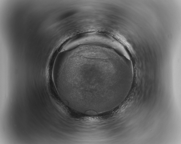 X0000093730250200710161122