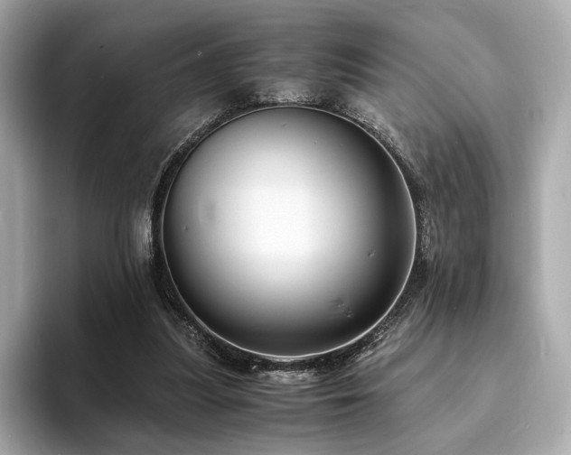 X0000093730251200710161122
