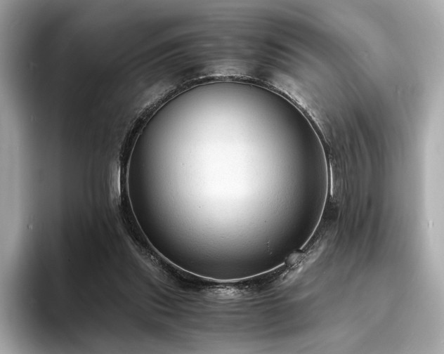 X0000093730253200710161122