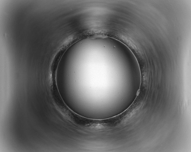 X0000093730254200710161122