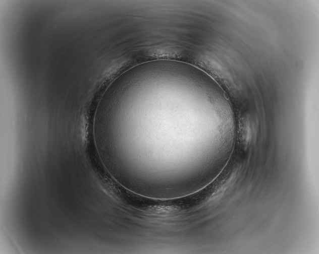 X0000093730255200710161122