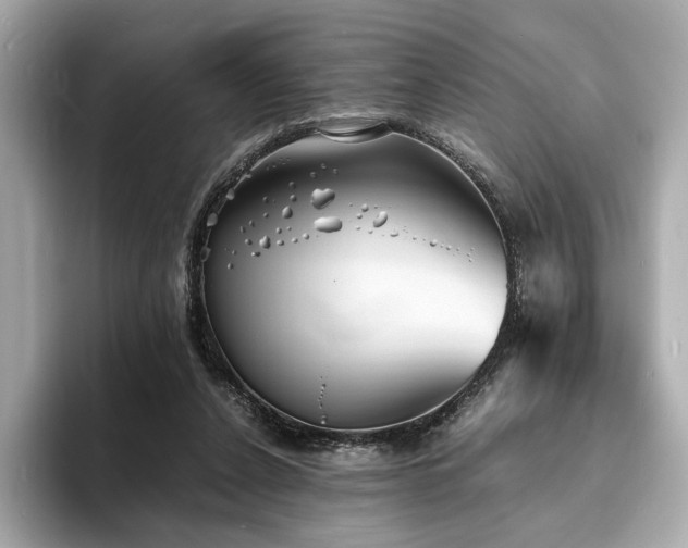 X0000093730256200710161122