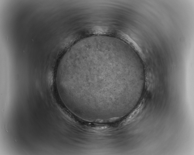 X0000093730257200710161122