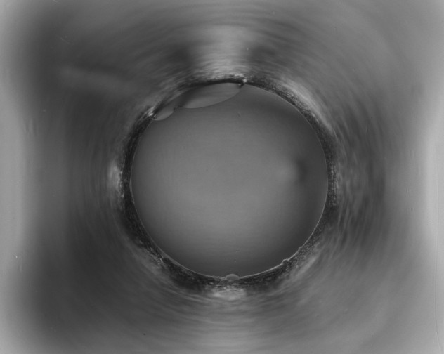 X0000093730258200710161122